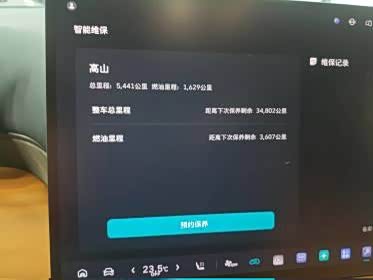 Фото 6 - Wey Gaoshan