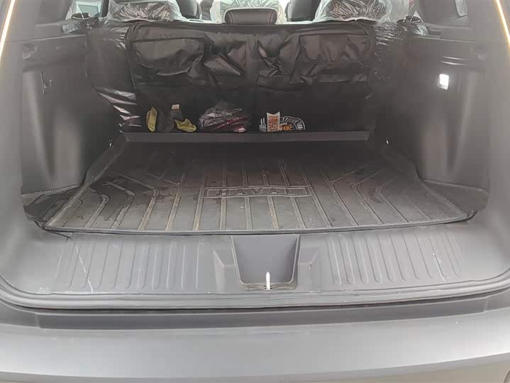 Фото 4 - Haval Dargo