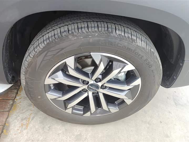 Фото 6 - Haval Dargo