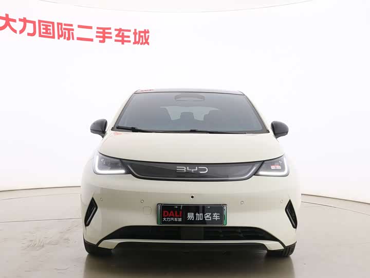 Фото 2 - BYD Dolphin