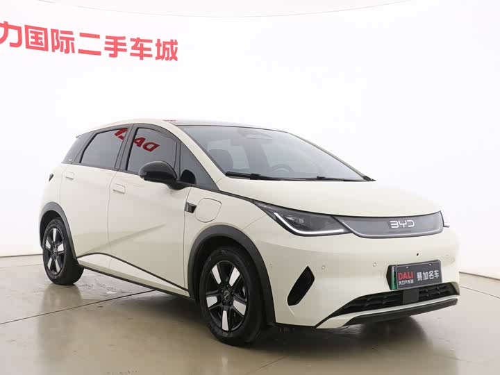 Фото 3 - BYD Dolphin