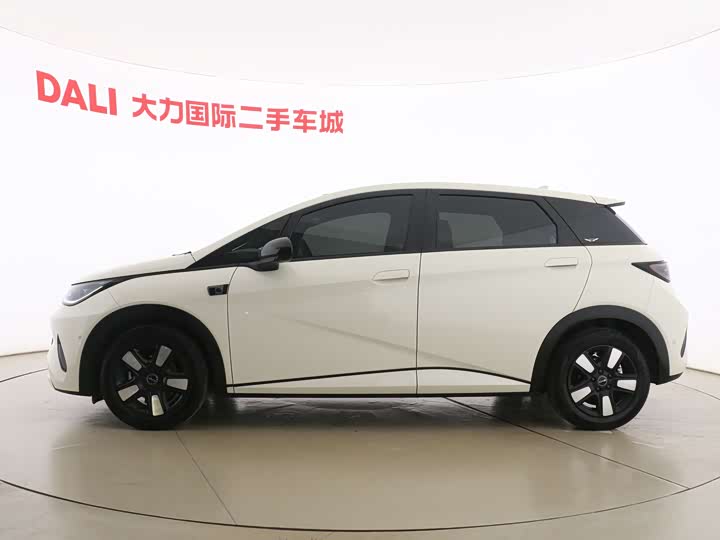 Фото 4 - BYD Dolphin