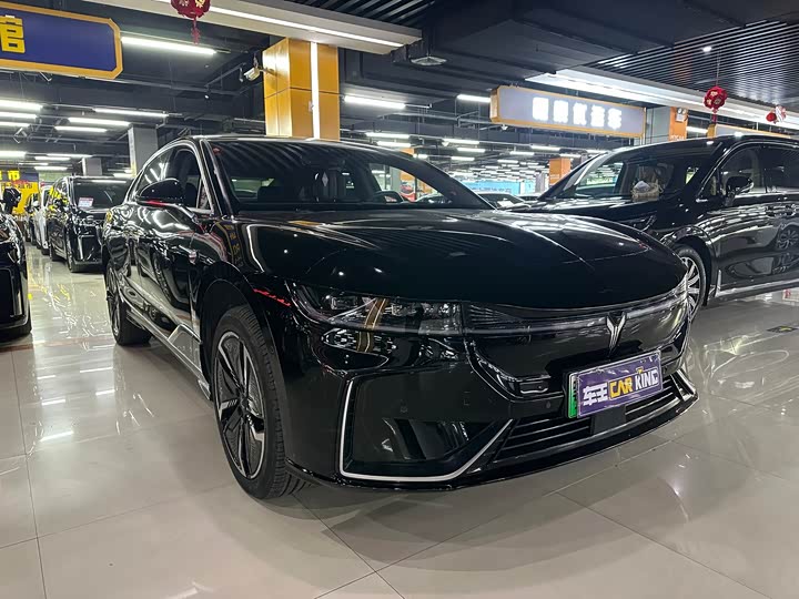 Photo 3 - Voyah Passion