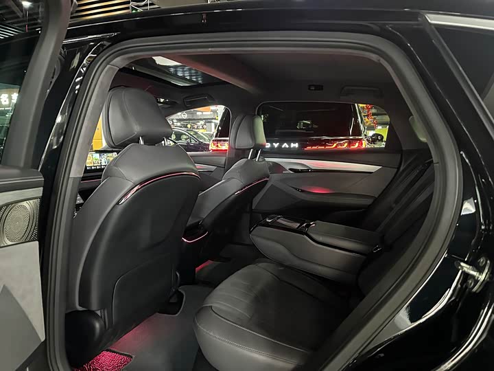 Photo 5 - Voyah Passion