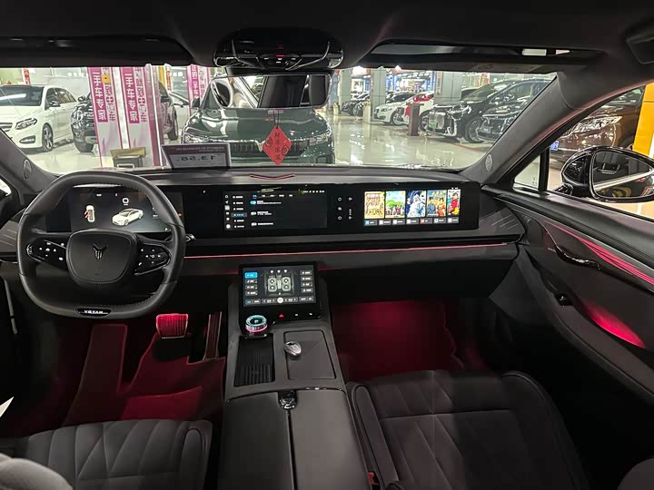 Photo 6 - Voyah Passion