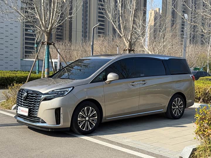 Buick GL8 ES 2023 2023款 ES陆尊 豪华型
