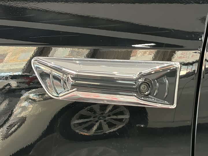 Фото 4 - Wey Gaoshan