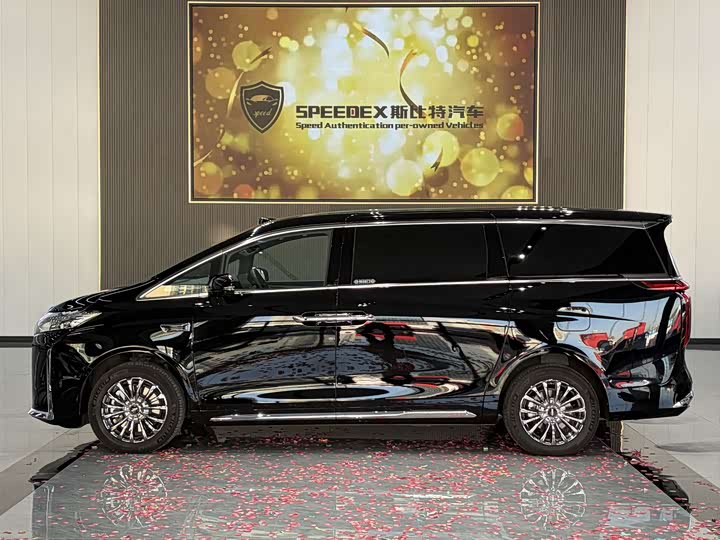 Фото 5 - Wey Gaoshan