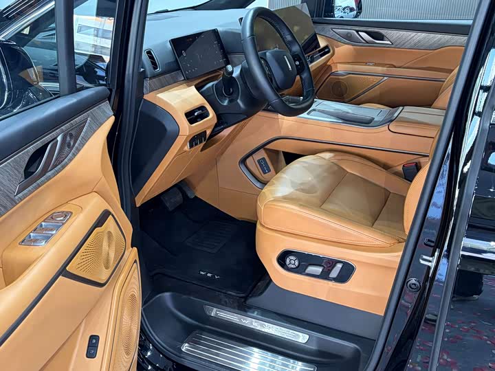 Фото 7 - Wey Gaoshan