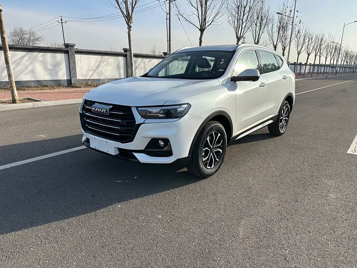 Haval H6 2025 2025款 1.5T 国潮都市版