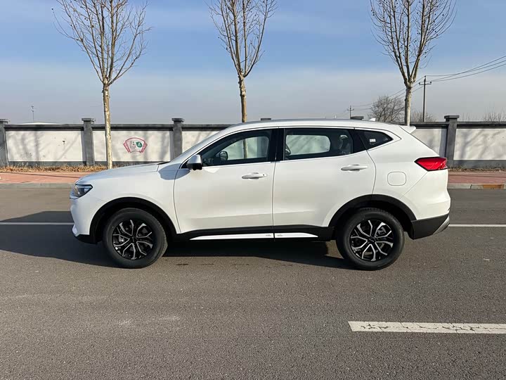 Haval H6 2025 2025款 1.5T 国潮都市版