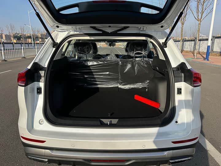 Haval H6 2025 2025款 1.5T 国潮都市版