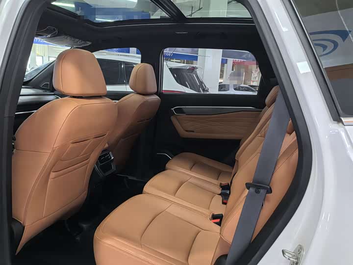 Geely Okavango L 2024 2024款 2.0T DCT旗舰型