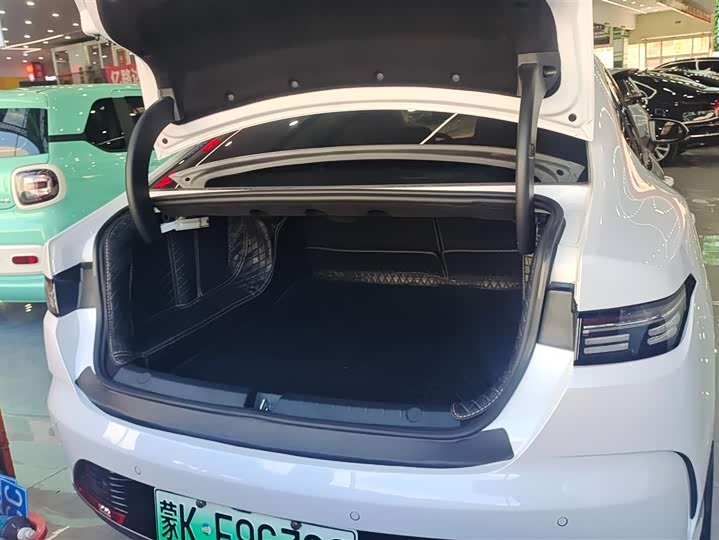 Фото 4 - BYD Destroyer 05