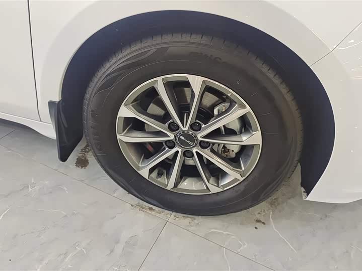 Фото 6 - BYD Destroyer 05