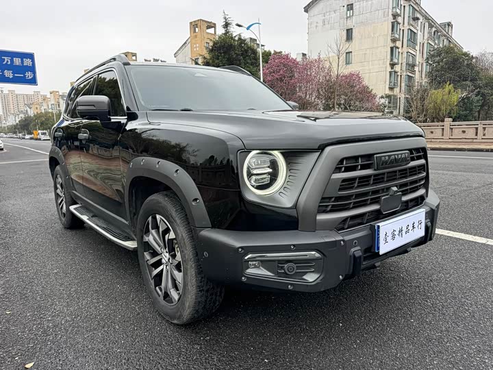 Фото 1 - Haval Dargo