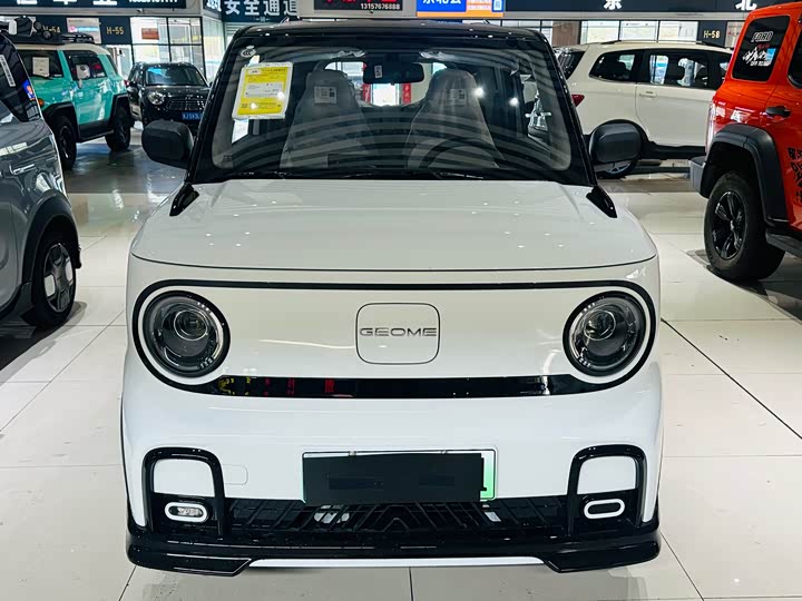 2025 Geely Galaxy Panda Mini