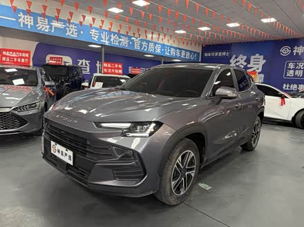 Фото 1 - Jetour Dashing