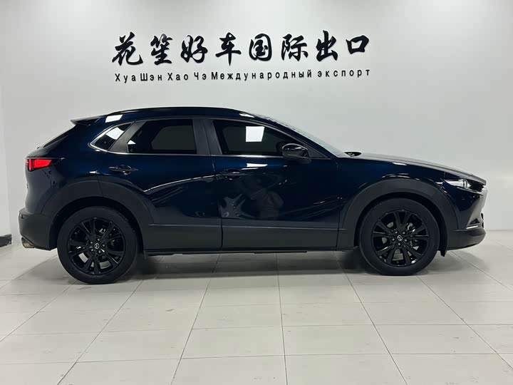 Mazda CX-30 2022 2022款 2.0L 自动雅悦型黑曜版