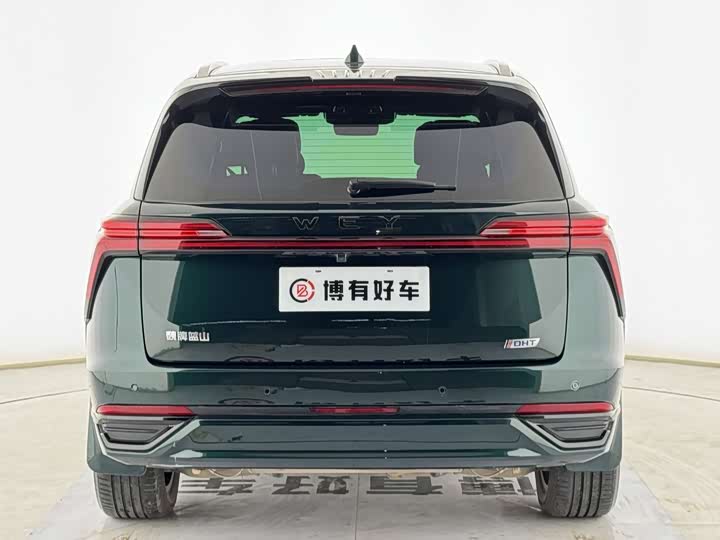 Фото 8 - Wey Lanshan