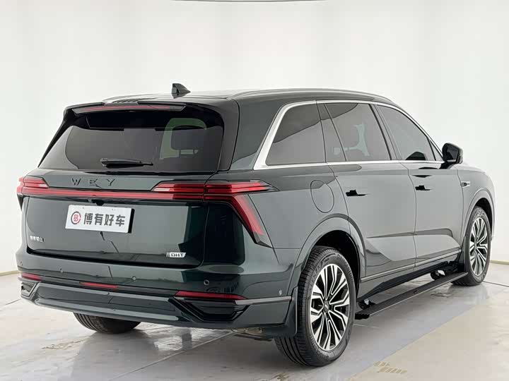 Фото 9 - Wey Lanshan