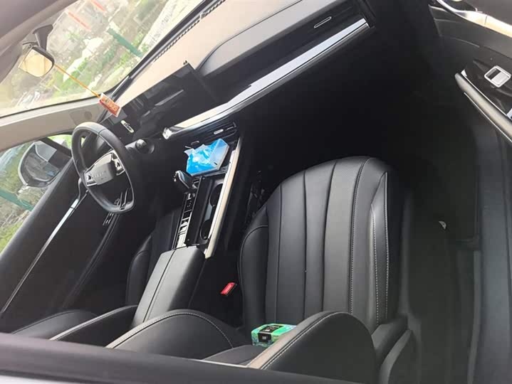 Фото 8 - Roewe RX5 Max