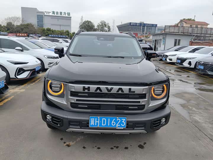 Haval Dargo 2024 2024款 1.5T DCT边牧版