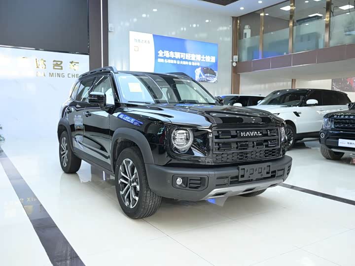 Фото 3 - Haval Dargo