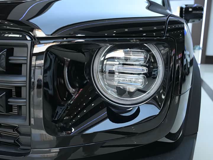 Фото 4 - Haval Dargo