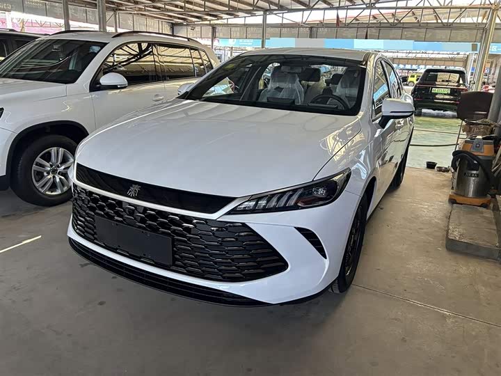 BYD Qin Plus 2026 2026款 DM-i 128KM进取型