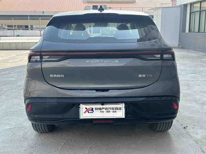 Dongfeng Forthing Xinghai T5 2026 2026款 530km 尊享版