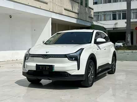 Фото 1 - Hozon U