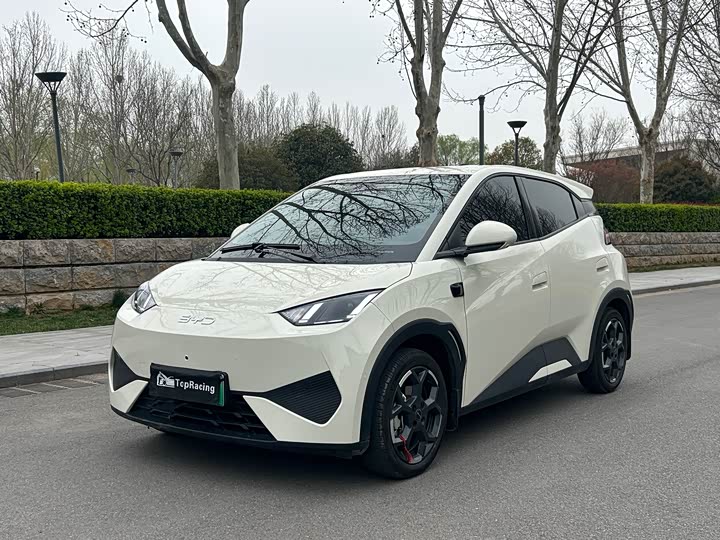 Фото 1 - BYD Seagull