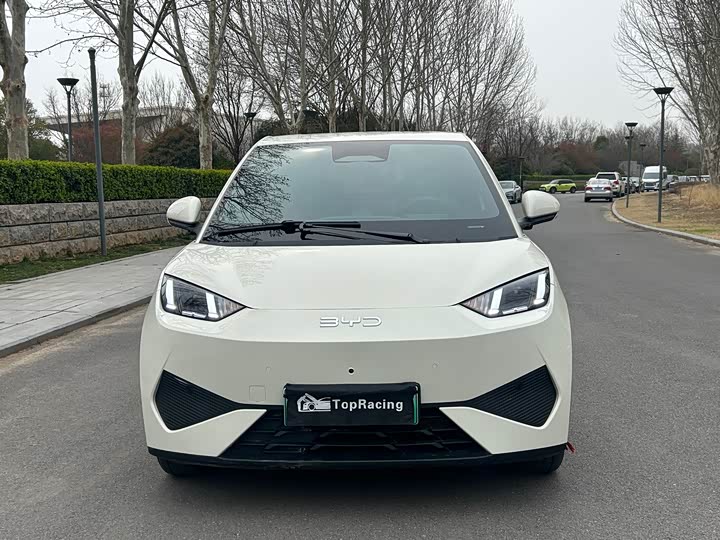 Фото 2 - BYD Seagull