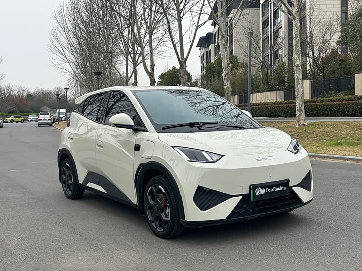 Фото 3 - BYD Seagull