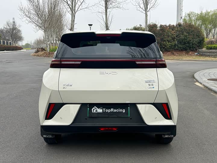 Фото 8 - BYD Seagull