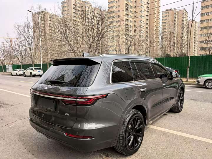 Фото 9 - LiXiang One