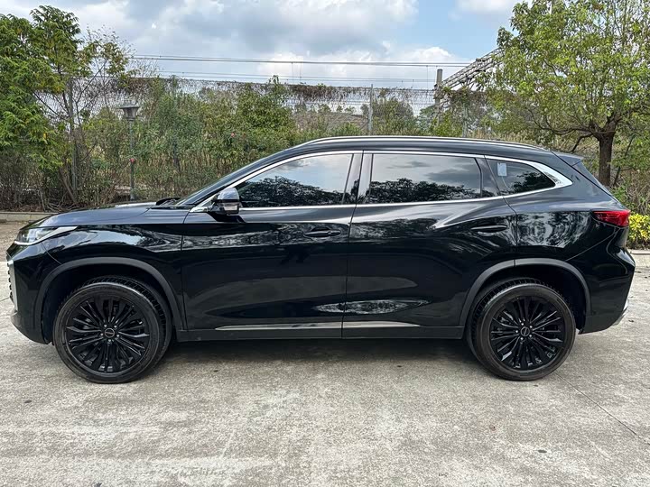 Exeed TXL 2024 2024款 300T 两驱星耀版
