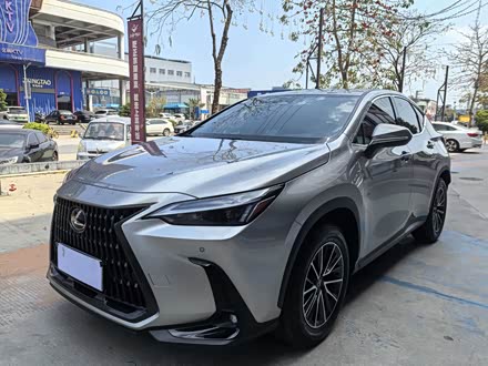 Фото 1 - Lexus NX