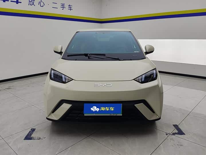 Фото 2 - BYD Seagull