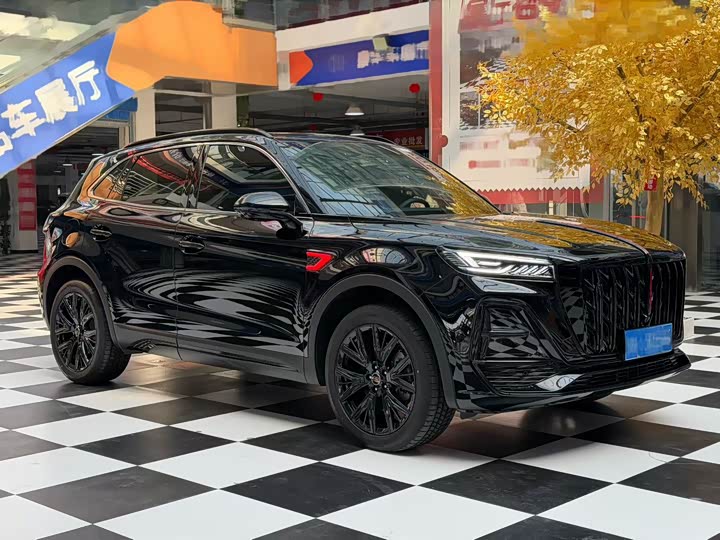 Фото 3 - Hongqi HS5