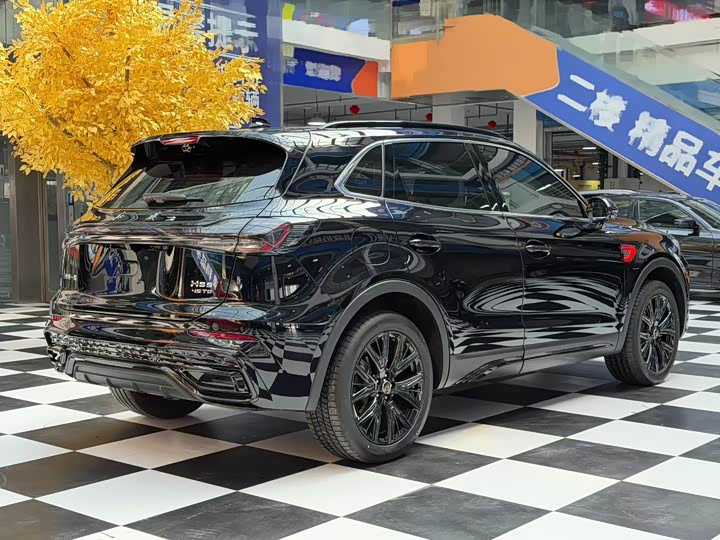 Фото 7 - Hongqi HS5