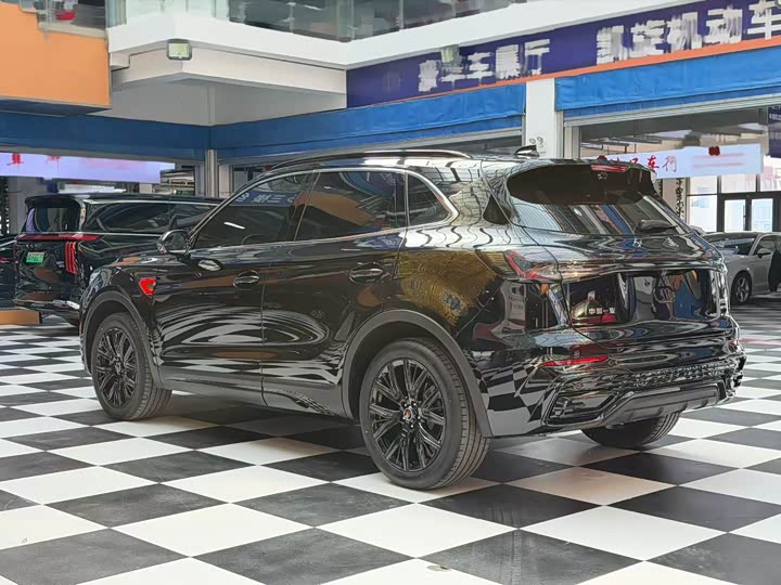 Фото 9 - Hongqi HS5