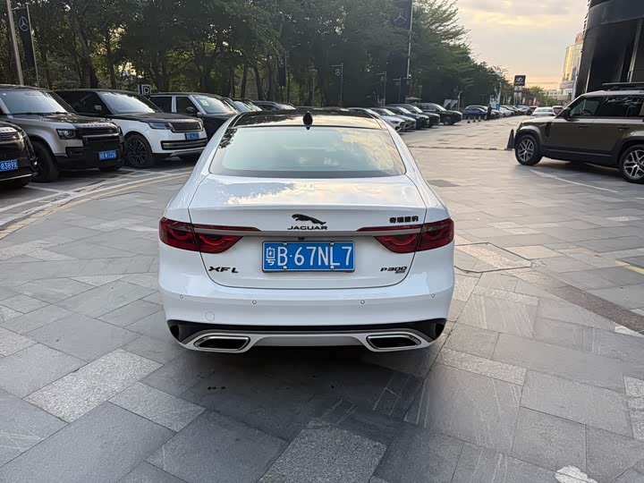 Jaguar XF L 2024 2024款 2.0T P300 四驱旗舰运动鎏金版