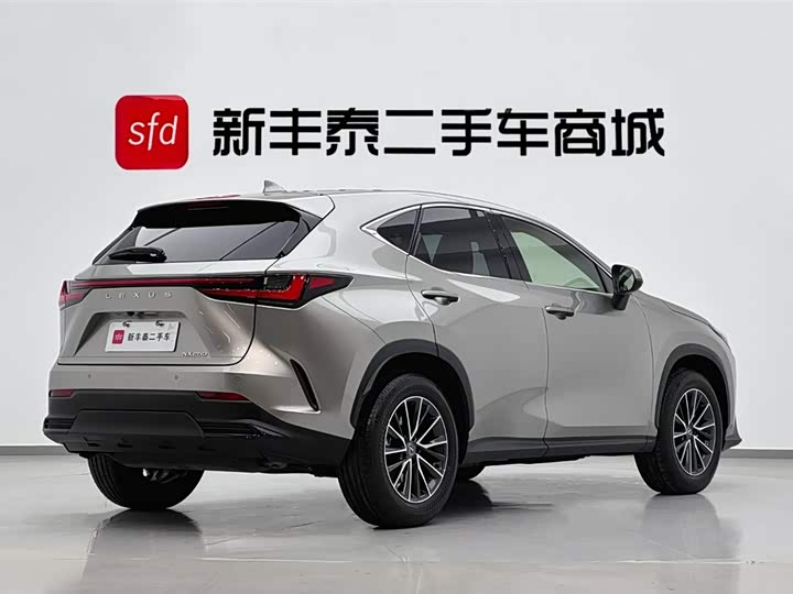 Фото 5 - Lexus NX