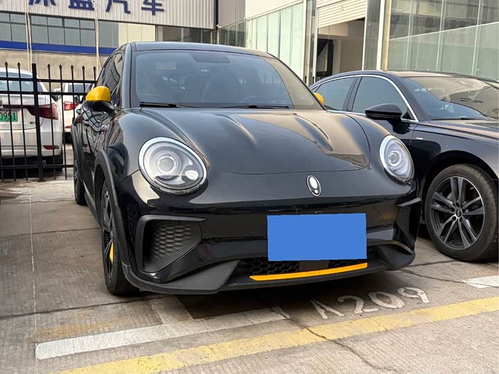 Фото 3 - Ora Good Cat GT (03 GT)