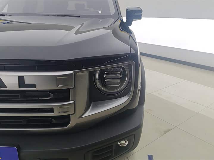 Фото 5 - Haval Dargo