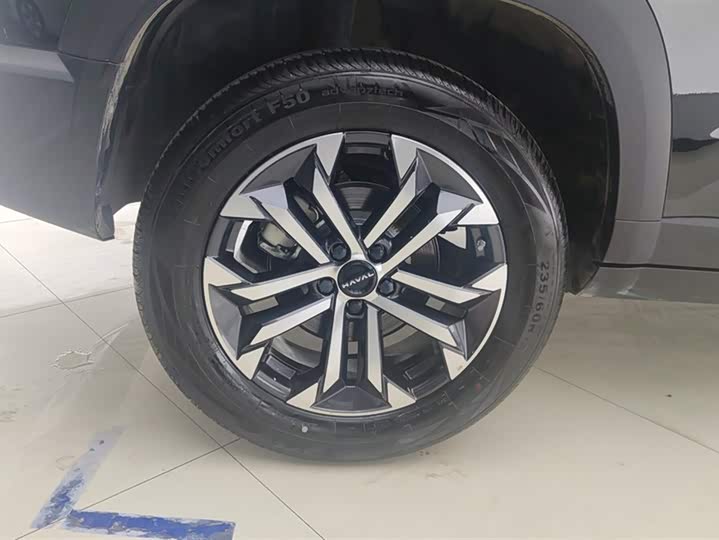 Фото 6 - Haval Dargo