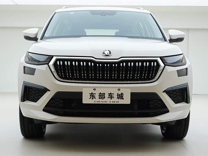 Skoda Kodiaq 2024 2024款 TSI330 5座两驱实力版