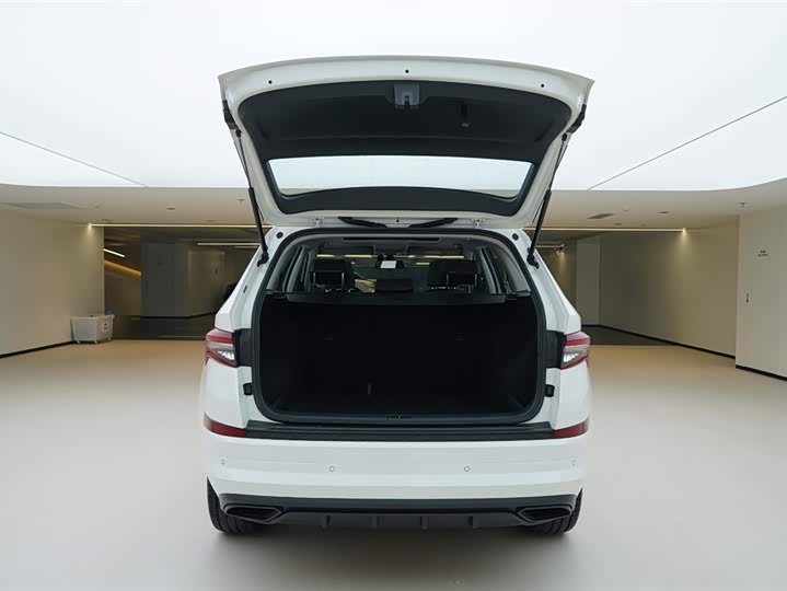 Skoda Kodiaq 2024 2024款 TSI330 5座两驱实力版